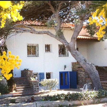 Villa Bleue - Les Pins Port Vendres Exteriér fotografie