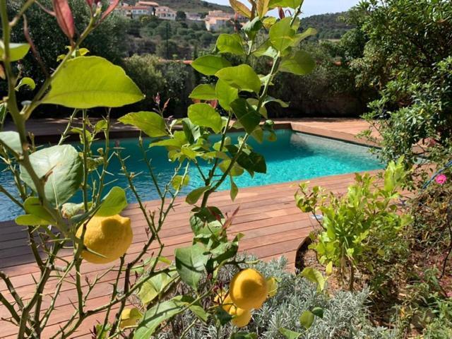 Villa Bleue - Les Pins Port Vendres Exteriér fotografie